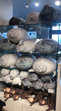 Load image into Gallery viewer, Plush Seal Pillow